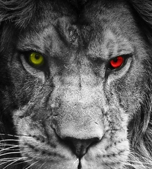 Ten things you can do today to weaken the system! Buy Jason christoff