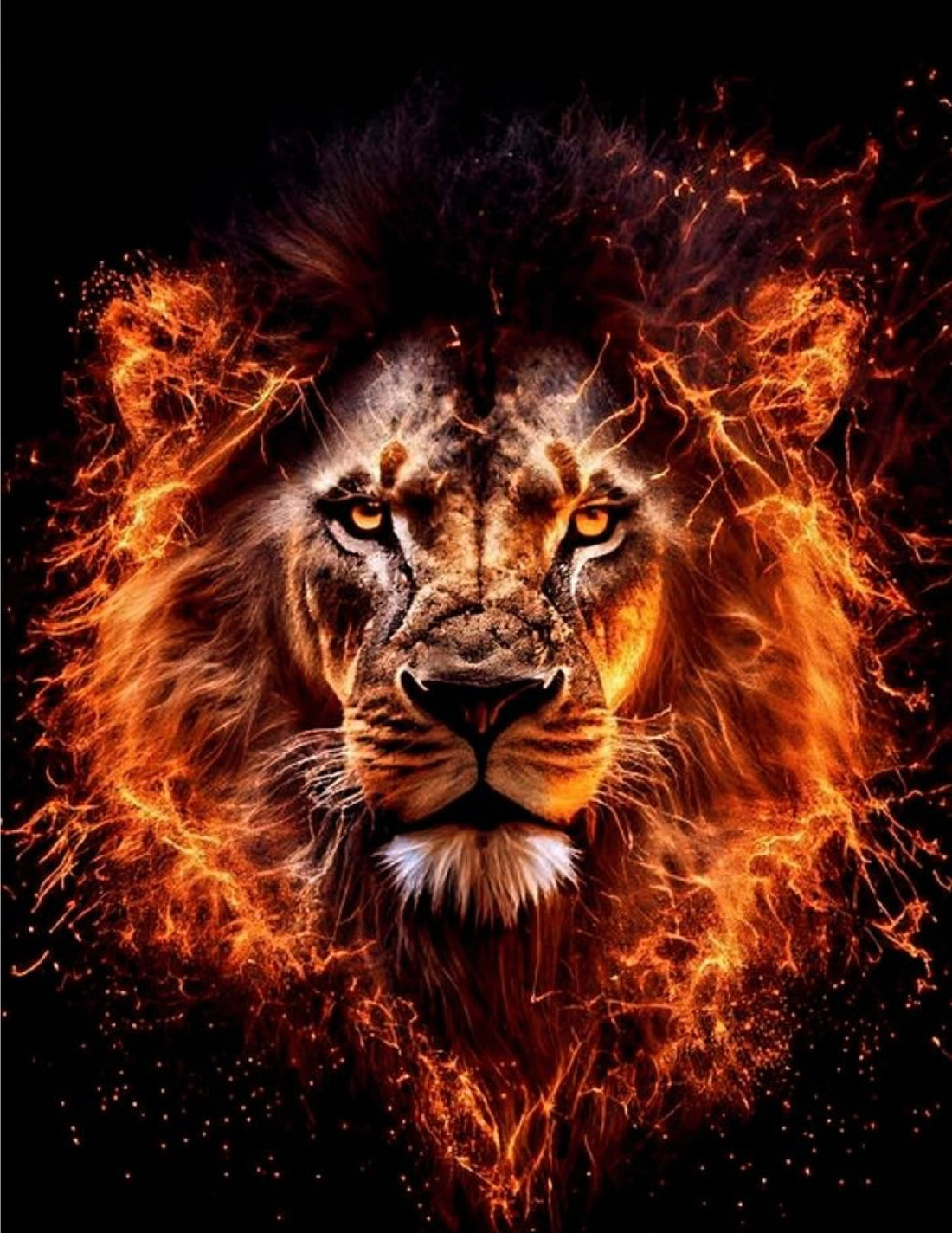 Be like a lion Freedom fighter Australia