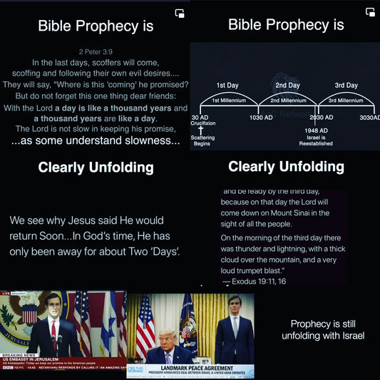 Prophecy unfolding! Be warned! It has only be two days. Jesus is the key to the kingdom of heaven! He is your salvation no other! Idols anger God. Turn to him and repent this is your choice choose wisely! KJV Bible protected words of God!